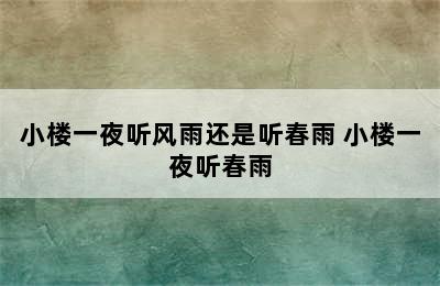 小楼一夜听风雨还是听春雨 小楼一夜听春雨